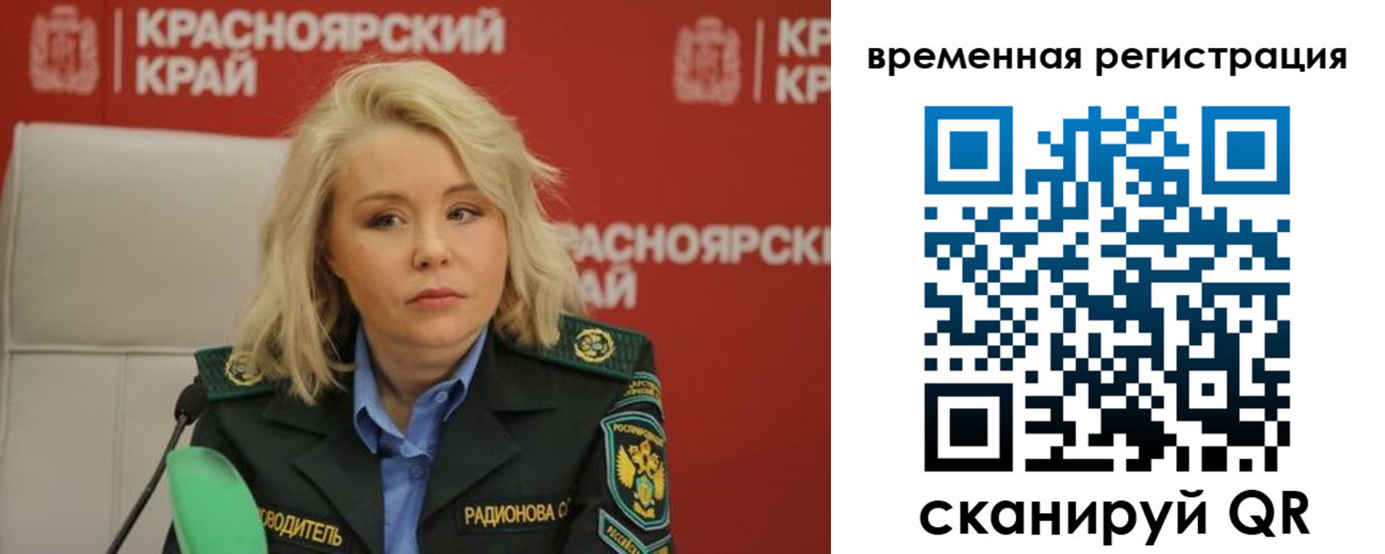 прописка поиск в Ельне